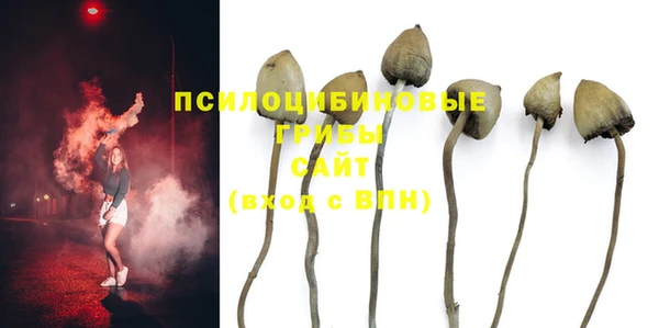 тгк Верея