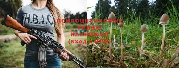 не бодяженный Верхний Тагил