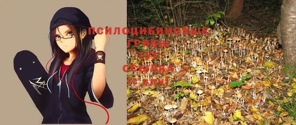 тгк Верея