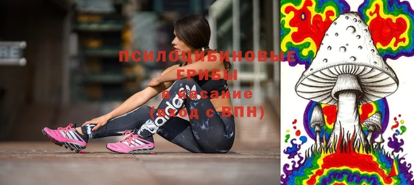 не бодяженный Верхний Тагил